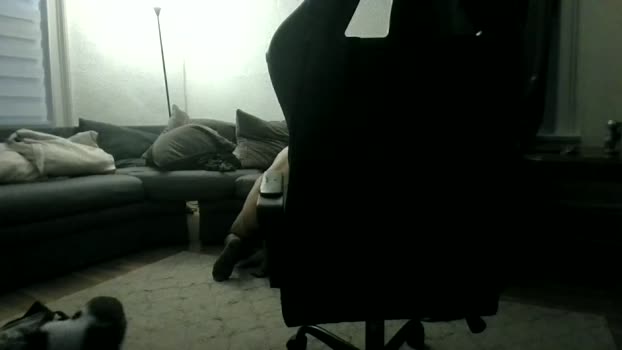 paul9333 17-10-2025 video jerkoff