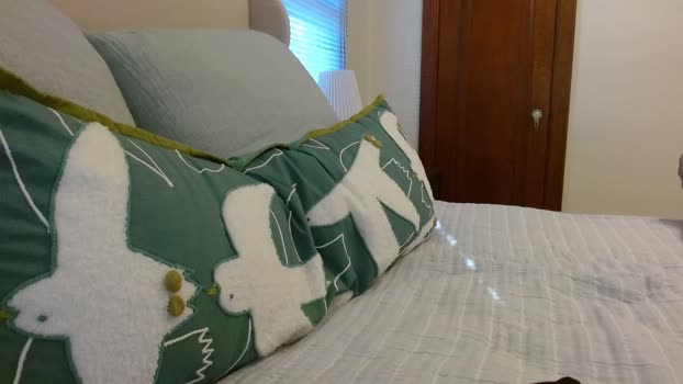 siscohater 17-10-2025 video Show