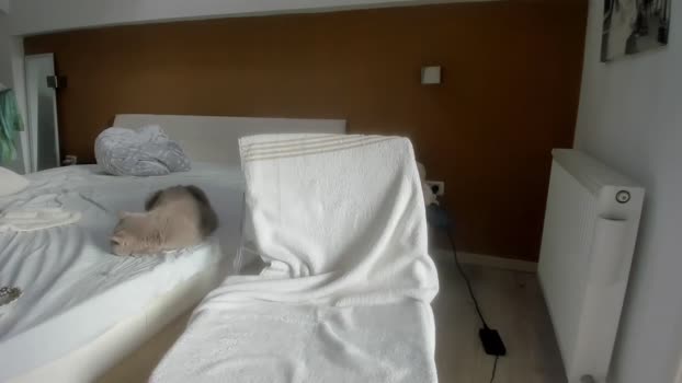 woolfiie 17-10-2025 video lick