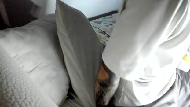 austin1119a 20-10-2025 video ass