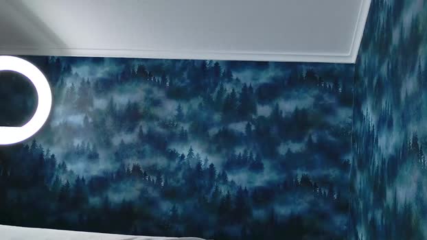 markshot_ 23-10-2025 video toy