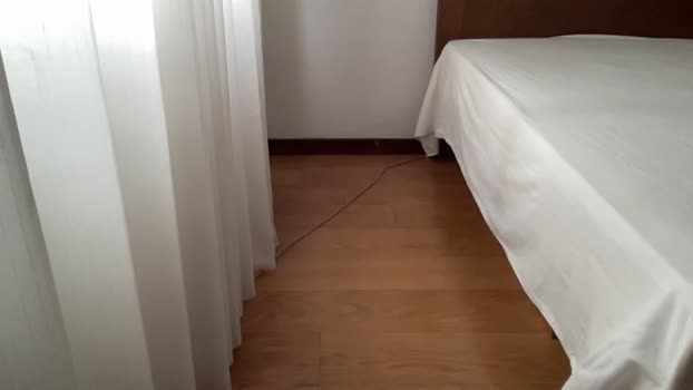 bestdick1991 29-10-2025 video horny