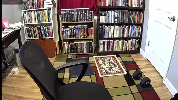 notsureaboutthislol 28-10-2025 video suck