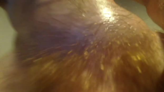 bdsm_gladiator 02-11-2025 video fuckhard