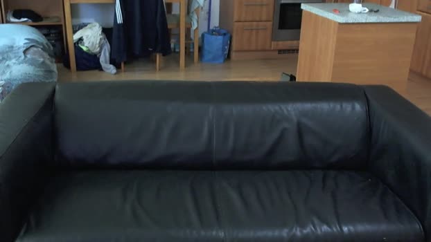 rafaelosteel 04-11-2025 video Porn