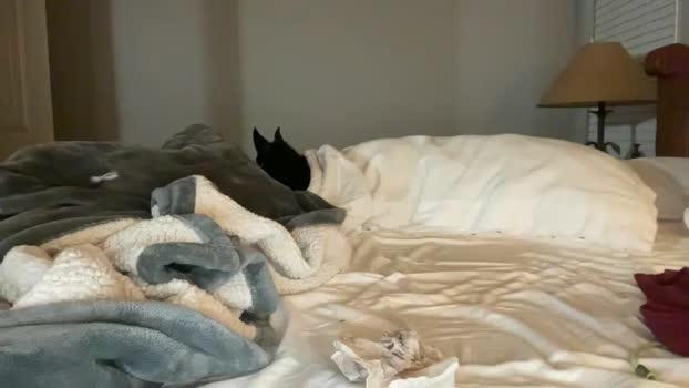 hottiewithabody101 05-11-2025 video nude