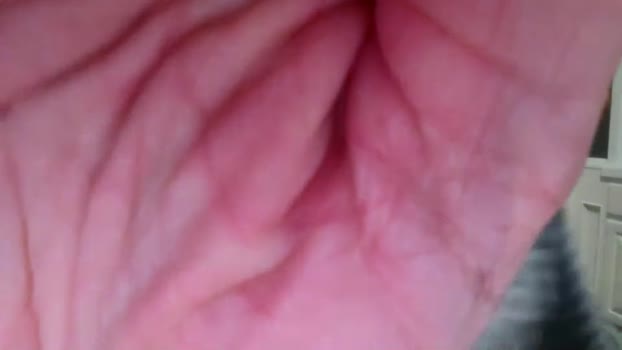 jack1dan11 05-11-2025 video suckcock