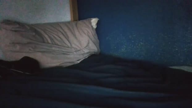 lomascok23 06-11-2025 video lovense