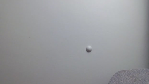 mantoy2000 05-11-2025 video gay