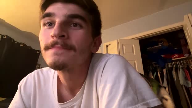 joco2525 09-11-2025 video toy