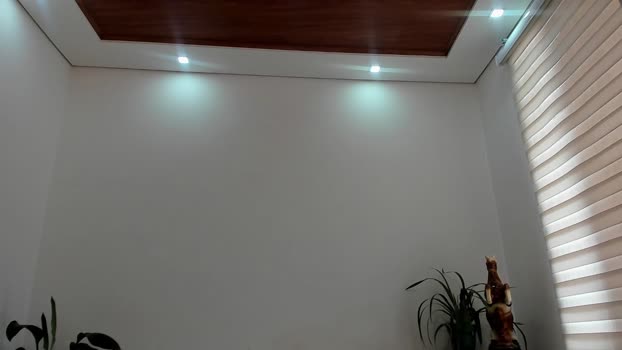 noahbrawn 08-11-2025 video gay