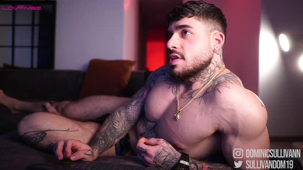 dominic_sullivan1 14-11-2025 video lovense
