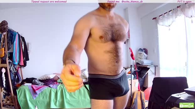 osito_blanco 13-11-2025 video show