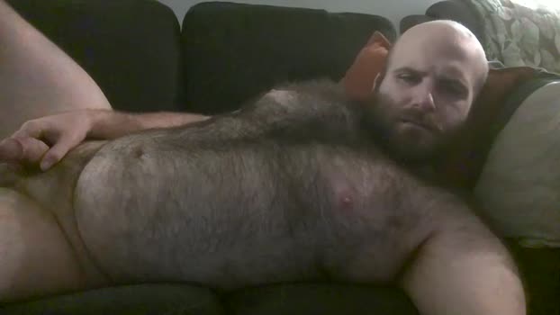 hairiestbear 18-11-2025 video big