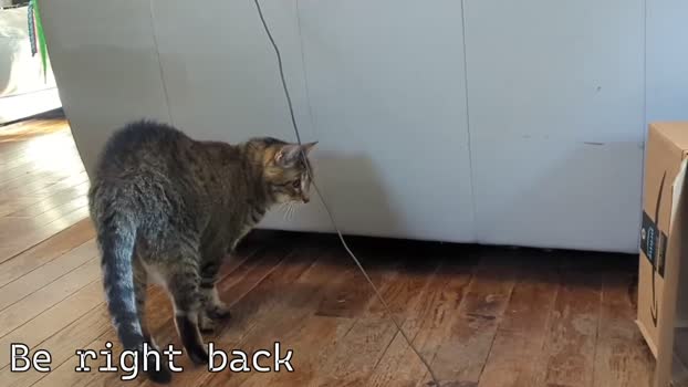 rndmzd 17-11-2025 video lick