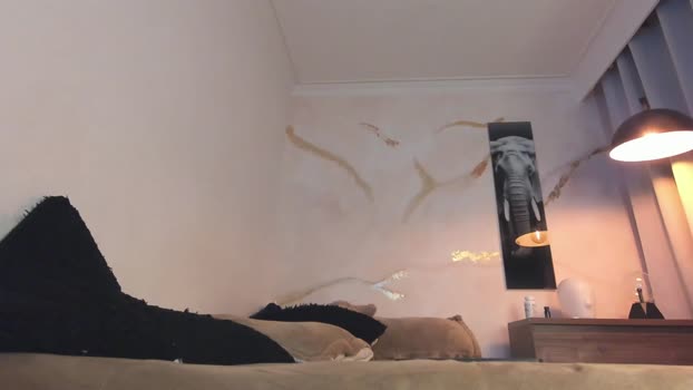 yulianpereira25 18-11-2025 video ass