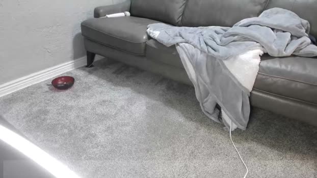 jarodalpha 21-11-2025 video spanking