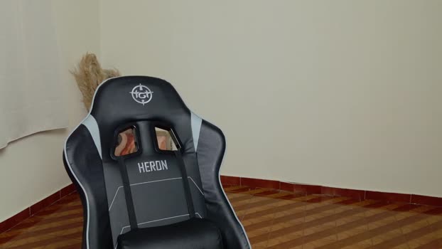 deanlek 21-11-2025 video toys