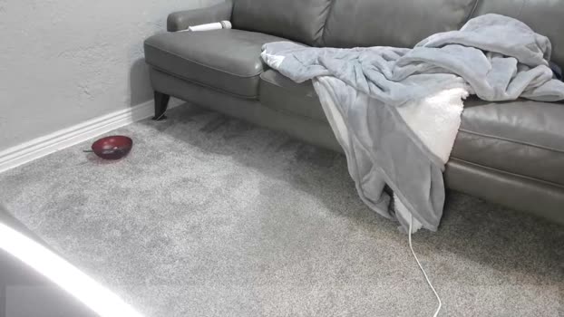 jarodalpha 21-11-2025 video twink