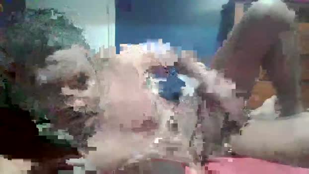 kawalsingha420125512 25-11-2025 video spanking