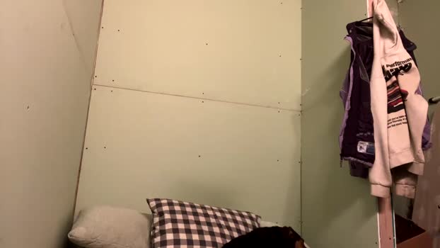 rockeylo99 27-11-2025 video natural