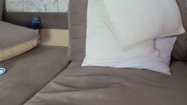 yummyalexxx 28-11-2025 video big