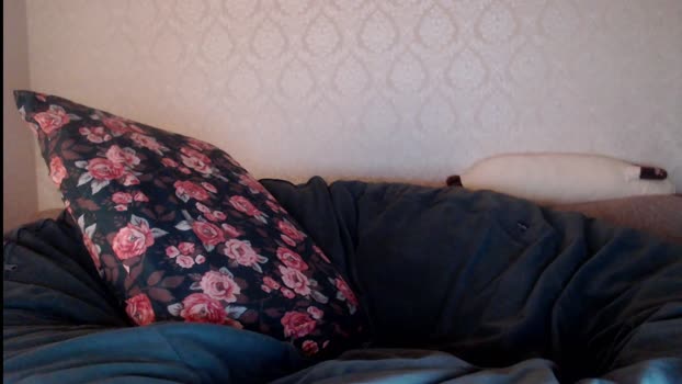 athleticloganx 01-12-2025 video Download