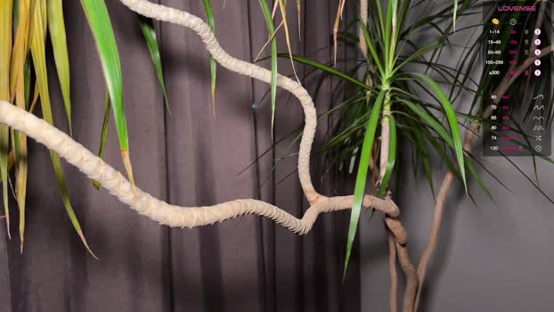 aronyou_win 03-12-2025 video kiss