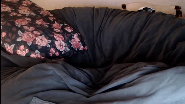 athleticloganx 04-12-2025 video sexy