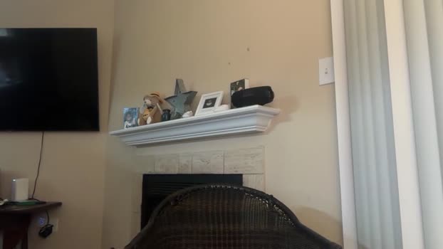 inamate93 08-12-2025 video handsome