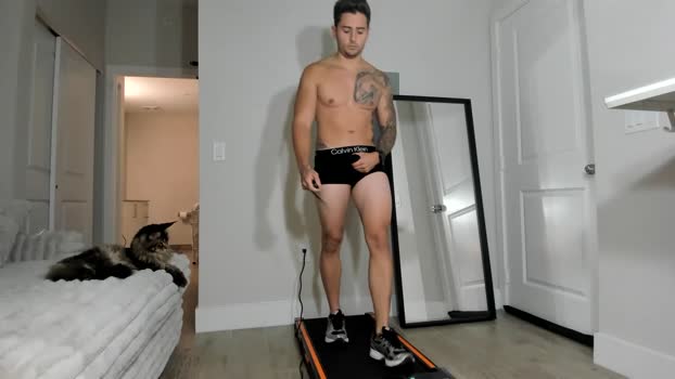 zaylanez 16-12-2025 video nasty