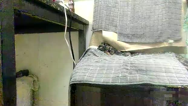 sexy_white_daddy 20-12-2025 video suckcock