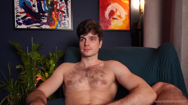 waynenorth 19-12-2025 video analtoy