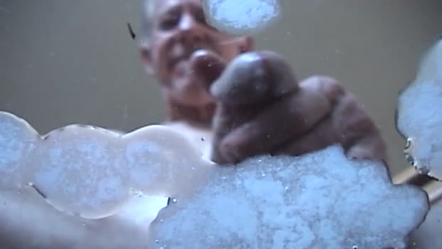 monkeyspank82 23-12-2025 video bigballs