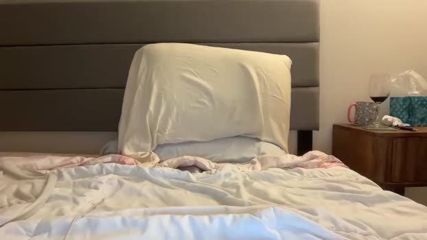 whatthefoot 25-12-2025 video bigtoys