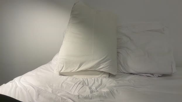 nfeibk 29-12-2025 video fuckface