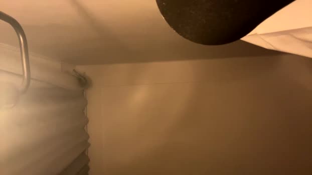 tarzan_thejungleboy 29-12-2025 video Pretty