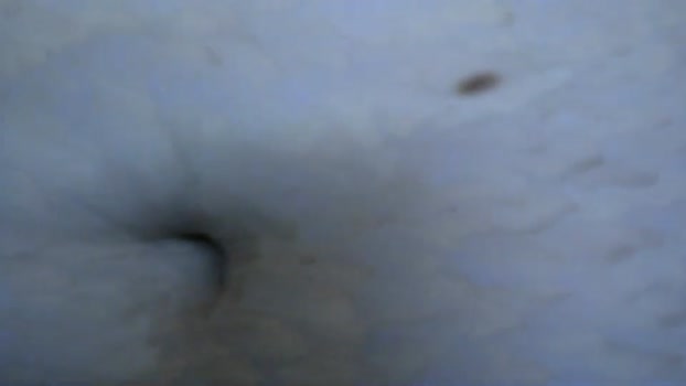 belle_ley 30-12-2025 video fuckface