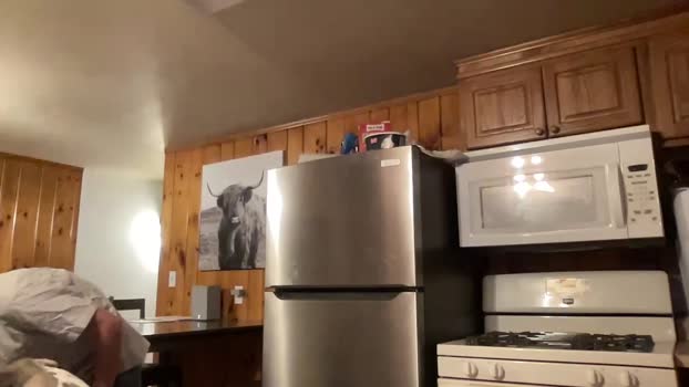 ofthatguy 02-01-2026 video lush