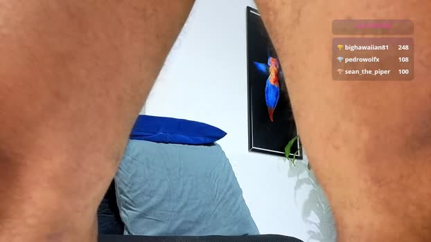 silvabranko 02-01-2026 video deep