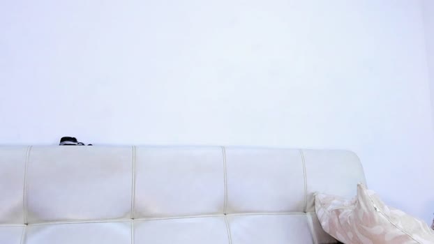 apoloklein_ 03-01-2026 video analtoy