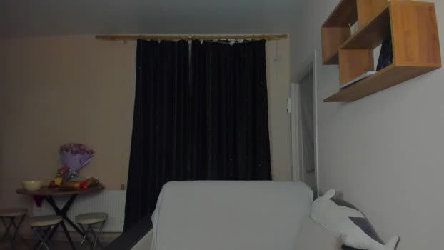 _stager_ 05-01-2026 video toy