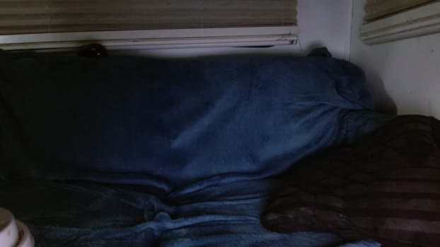 kylechat 05-01-2026 video deep