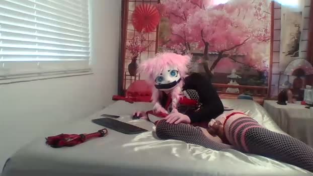 caged_kitty 06-01-2026 video kink