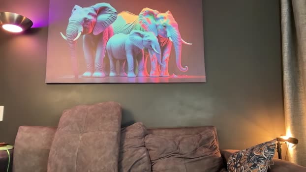 highlatin_guys 07-01-2026 video suckshow