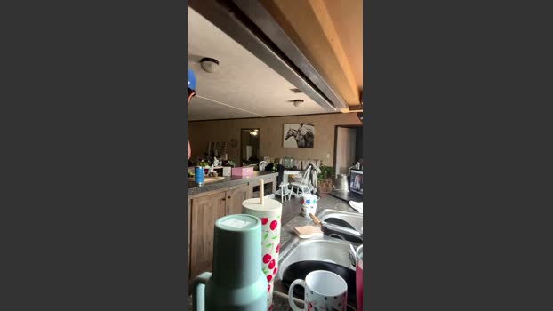 snacksmaster 08-01-2026 video yummy