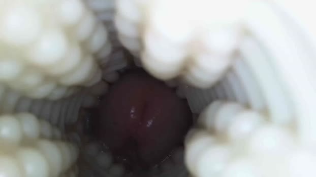 xoxowtf 09-01-2026 video harddick