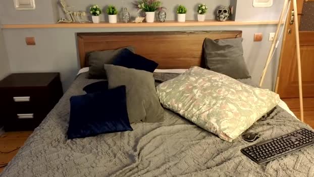 okerriella 16-01-2026 video analtoy