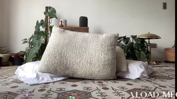 alexdimartino 16-01-2026 video fuckface