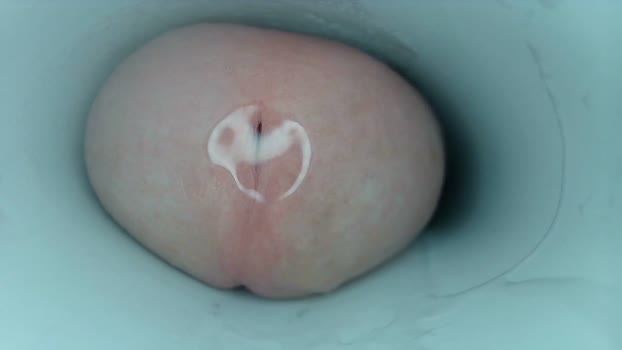 jeffrodgerschaturbat 17-01-2026 video nude